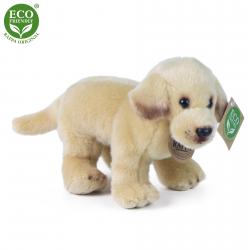 Plyšový labrador stojící 20 cm ECO-FRIENDLY